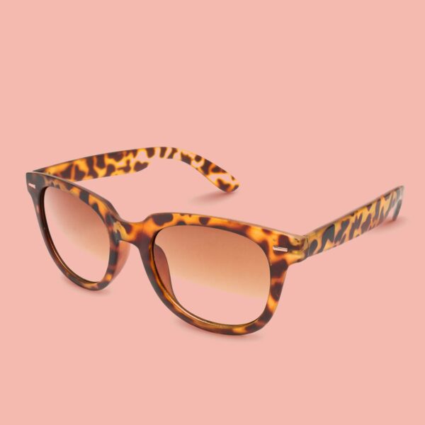 Modern Sunglasses
