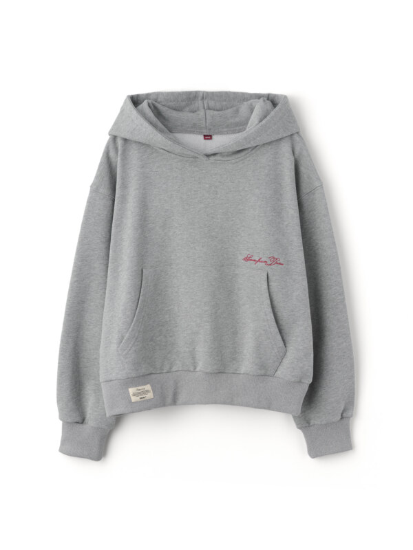 Scene from Hoodie [GREY]
